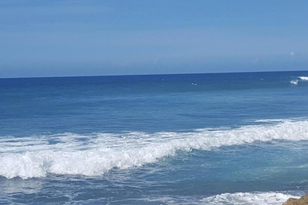 Summer All Year! Oceanfront With Pool A/C Aguadilla Exterior photo